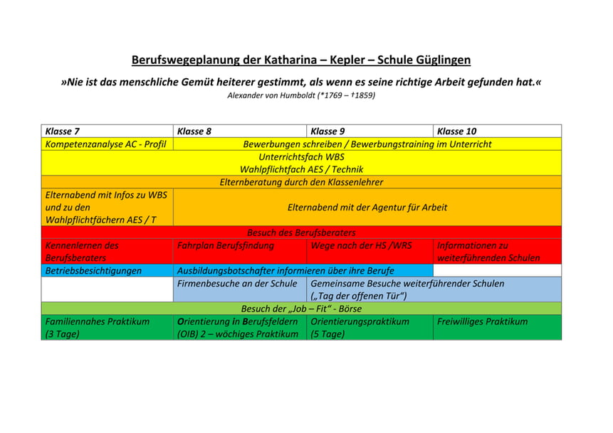 Berufswegeplan