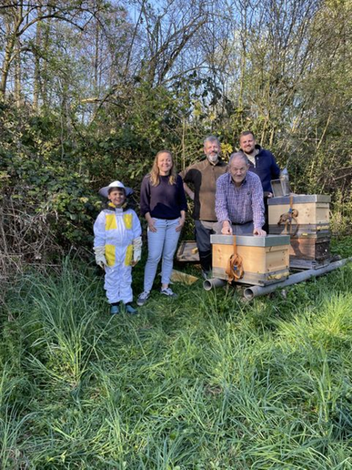 Neue Schulbienen