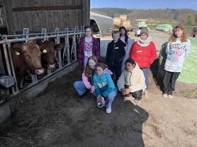 Zaberg&auml;u - Angus