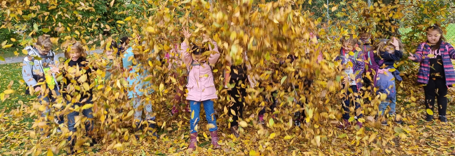 <p>Mit von und in der Natur lernen</p>