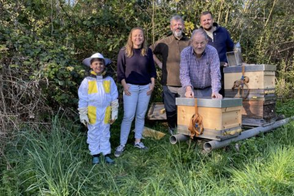 Neue Schulbienen